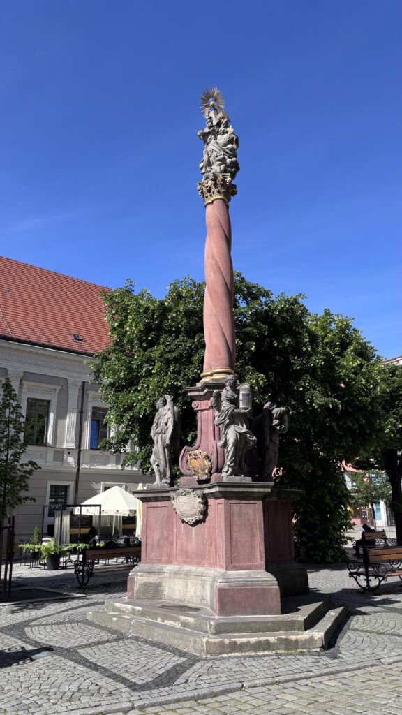 IMG 2019