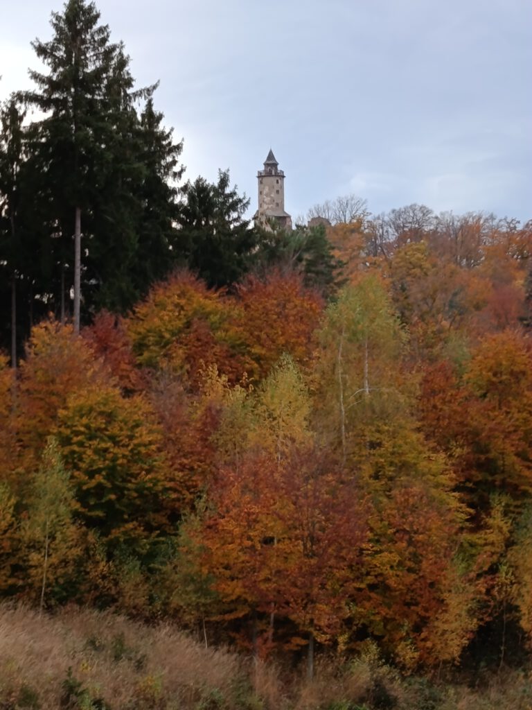 IMG 20251023 135302 1