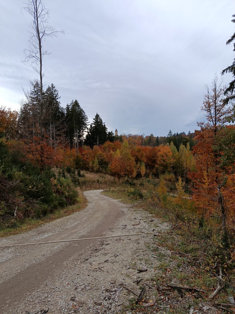 IMG 20251023 135309 1