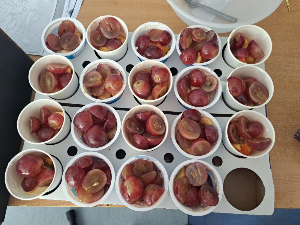 Przygotowane desery przez kl. IV - jogurt z owocami