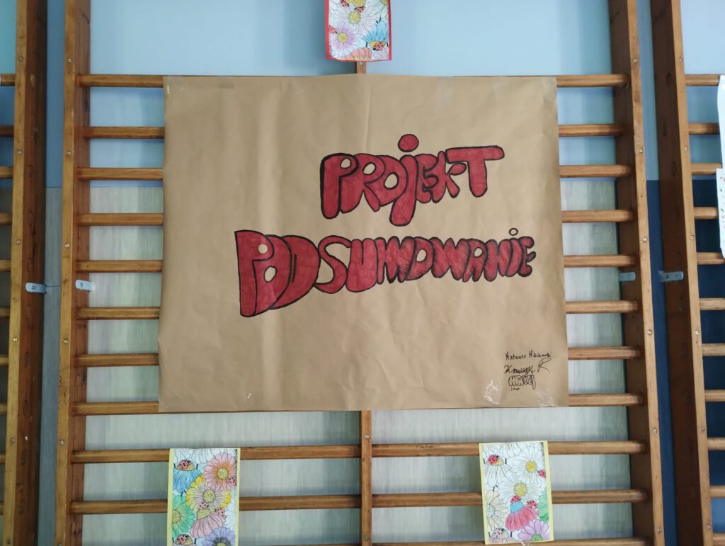 Plakat "Projekt podsumowanie"